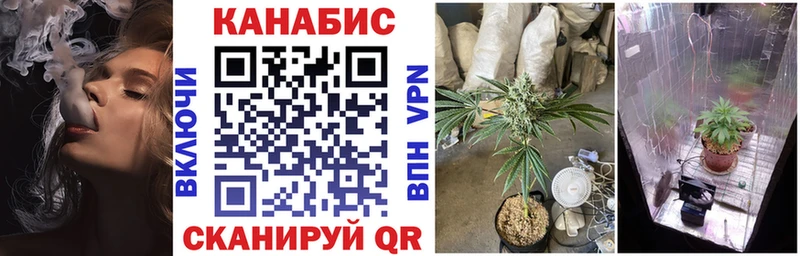 Виды наркотиков купить Нестеров Cocaine КЕТАМИН Метадон Конопля APVP Псилоцибиновые грибы МЕФ