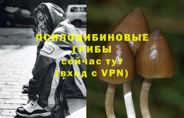 кокаин колумбия Алексеевка