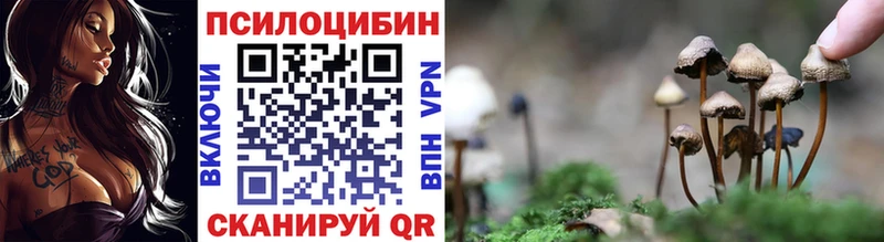 продажа наркотиков  Нестеров  ОМГ ОМГ маркетплейс  Псилоцибиновые грибы мухоморы 